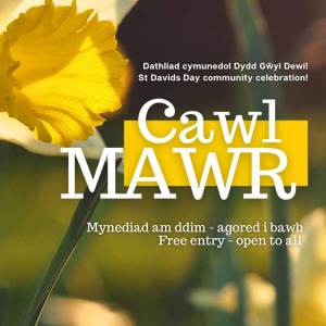 CAWL MAWR 