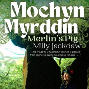 Mochyn Myrddin/Merlin’s Pig